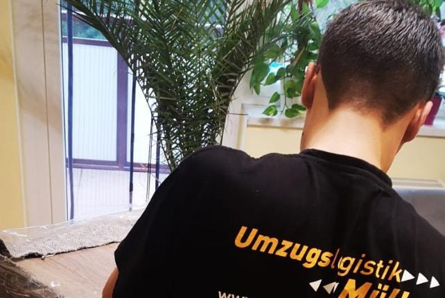 Laborumzug Jahnsdorf/Erzgeb stressfrei umziehen 